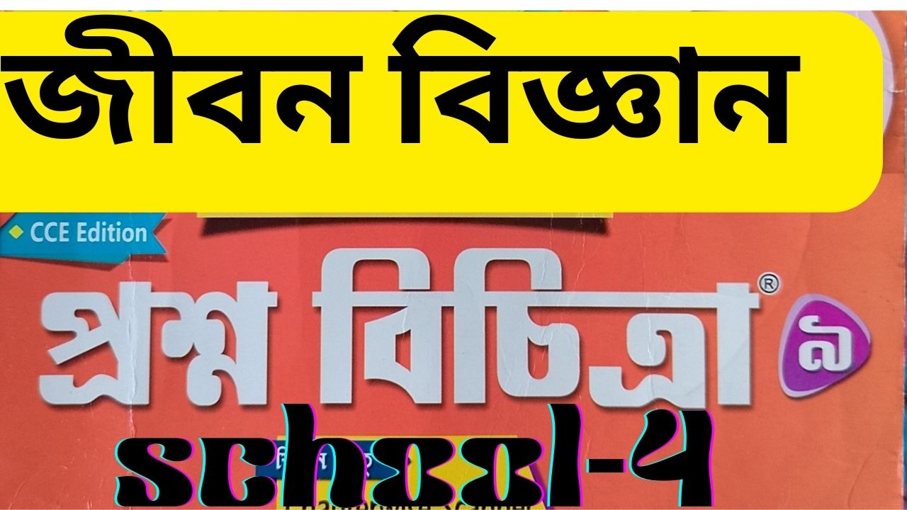 প্রশ্ন বিচিত্রা সমাধান , Model-4