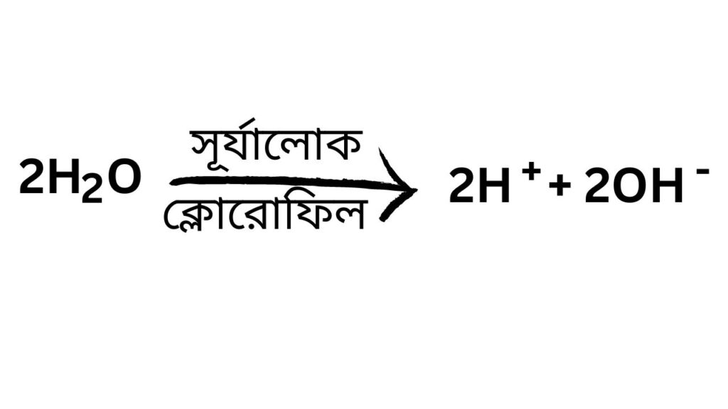 ফোটোলাইসিস বিক্রিয়া  